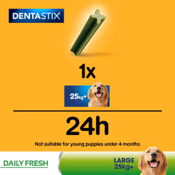 84 Pedigree Dentastix Fresh Adult Large Dog Treats 84 Dental Sticks Dog Chews - Additional view 6
