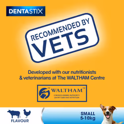 70 Pedigree Dentastix Daily Adult Small Dog Treats 70 Dental Sticks Dog Chews - Additional view 7