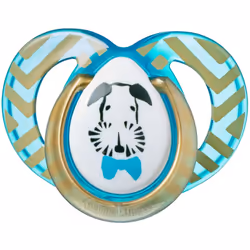Tommee Tippee 2 Fashion Pacifiers 6-18 Months Boy - 2 Count