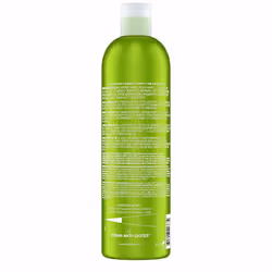TIGI Bed Head Urban Antidotes Urban Antidotes 1 Re-energize Shampooing