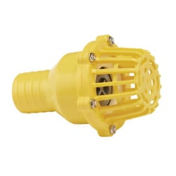 Foot Valve Strainer, 50mm/2""
