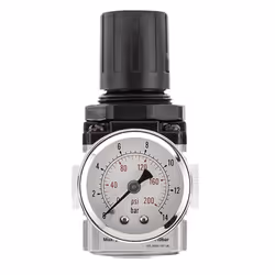 1/4"" BSP Regulator Unit