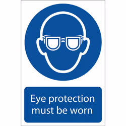 Eye Protection' Mandatory Sign, 200 x 300mm