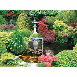 Hozelock Fish Feeder