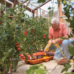 Hozelock 2810 Growbag Waterer