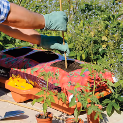 Hozelock 2810 Growbag Waterer - Additional view 5