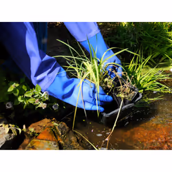 Hozelock Pond Glove