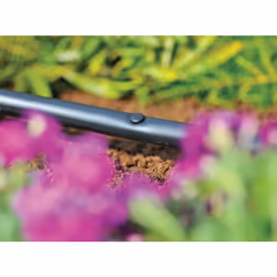 Hozelock - Blanking Plug - Pack 10