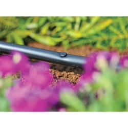 Hozelock - Blanking Plug - Pack 10