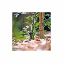 Hozelock Automatic Watering Asta End-of-Line Dripper Spikes
