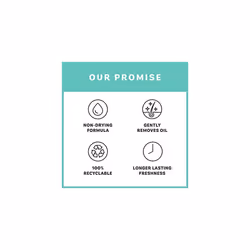 Dry Shampoo Original Fresh & Clean Fragrance, 350ml
