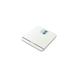Salter MAX Electronic Bathroom Scale - 250kg Capacity Digital Scales, Easy Read Display, Large Platform, Step-On for Instant Weight Reading, Carp