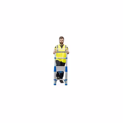 Werner Telescopic Soft Close Extension Ladder 2.9m - 85029