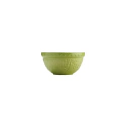 Mason Cash 21 cm Green Hedgehog Mixing Bowl