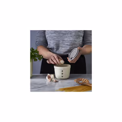 Mason Cash Innovative Kitchen Garlic Store & Grater