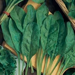 Johnsons Spinach, Spinach, 250 pc(s)