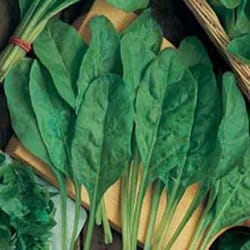 Johnsons Spinach 250 pc(s)