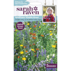 Sarah Raven Bees & Butterflies Range-Wildflower Wildlife Mixed Seeds