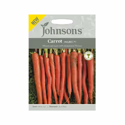 Johnsons Vegetables Carrot Malbec F1 Seeds