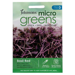 Johnsons Micro Greens Seeds Basil Red Unusual Cooking Herb Leaves