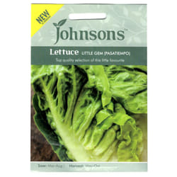 Johnsons Lettuce Seeds Little Gem Pasatiempo Cos Romaine Salad Leaves