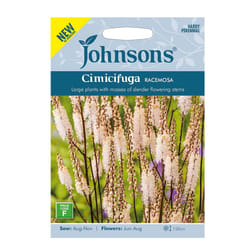 Cimicifuga Seed Grow Your Own Garden Flowers Stemmed Racemosa Johnsons