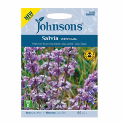 Salvia Seeds Grow Your Own Garden Summer Flowers Verticillata Johnsons