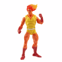 Marvel Legends Series Firelord