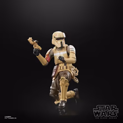 Star Wars The Black Series Shoretrooper