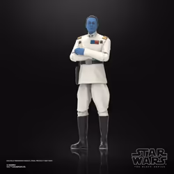 Star Wars The Black Series Grand Admiral Thrawn - Additional view 5