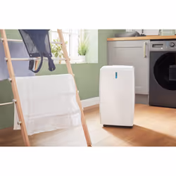 Dimplex EverDri20EL 3 L 45.8 dB 390 W White