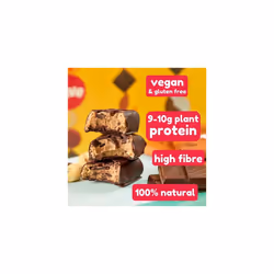 Natural Vegan High Protein Bar â High Protein, 100% Natural (Variety Pack, x5)