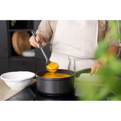 Zyliss E980229 ladle Black