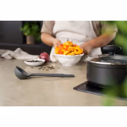 Zyliss E980229 ladle Black
