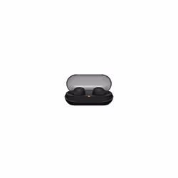 WF-C500 True Wireless Headphones (Up to 20 Hours Battery Life with Charging Case - Compatible with Voice Assistant, Built-in Microphone for Phone