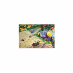 PHN4-50 Oil Pastels - Pack of 50