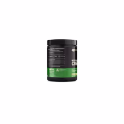 Micronised Creatine Powder, 100% Pure Creatine Monohydrate Powder for Performance and Muscle Power, Unflavoured Shake, 93 Servings, 317 g
