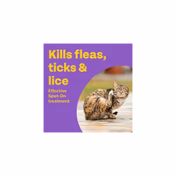 Clear | Spot On Flea Treatment for Cats & Ferrets | Kills Fleas & Ticks | Fast Control, 15 Week Protection | (3 Pipettes)