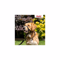 HALTI Headcollar Size 3 Black, UK Bestselling Dog Head Harness to Stop Pulling on the Lead, Easy to Use, Padded Nose Band, Adjustable & Reflective,