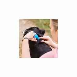 | FIPROtec Spot-On for Large Dogs (20â40kg) | Kills Fleas & Ticks | Vet Strength Treatment | 6 Pipettes