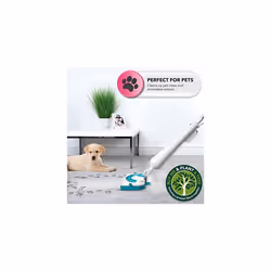 BEL01097 Multi Surface Steam Cleaner, Dual Tank, 350 ml For Steam & 200 ml For Detergent, Includes Mop Pad, Carpet Glider & Detergent Mop Head, Ready