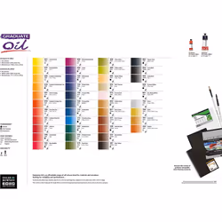 Daler Rowney 117522012 Graduate Oil Set 22ml (Pack of 12)