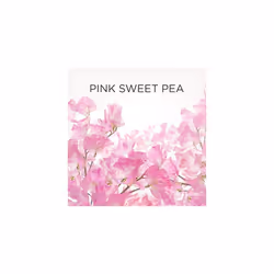 Air Wick Air Freshener Electrical PlugIn Pink Sweet Pea Refill 19 ml x 2