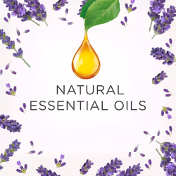AirWick Essential Oils Air Freshener, Electrical Plug in Kit Gadget and Refill, Purple Lavender Meadow, Single unit, Lasts Total Up to 100 days