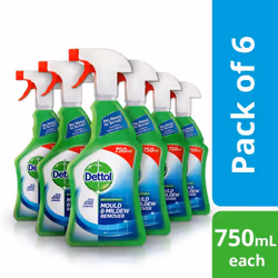 Dettol Mould and Mildew Remover Spray, 750 ml, Pack Of 6