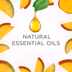 AirWick Essential Oils Air Freshener, Electrical Plug in Refills, Island Mango, Multipack of 6 x 100 days, Lasts Total Up to 400 days