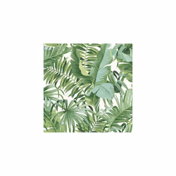 Tropical Leaf Wallpaper Palm Tree White Green A Street Prints Paste Th