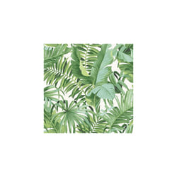 Tropical Leaf Wallpaper Palm Tree White Green A Street Prints Paste Th