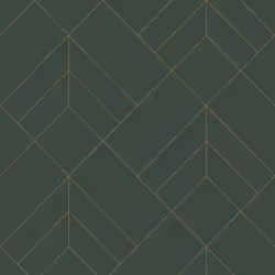 Sander Geometric Wallpaper Fine Decor - Green/Gold
