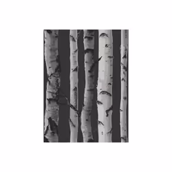 Birch Trees Wallpaper Fine Decor